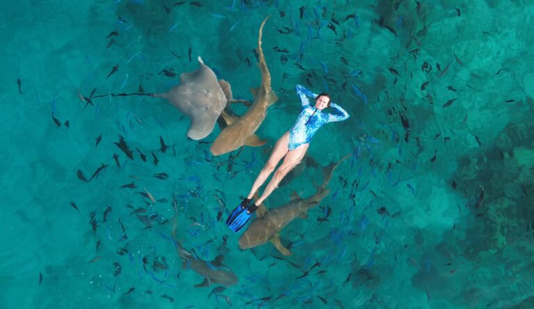 Maldivy