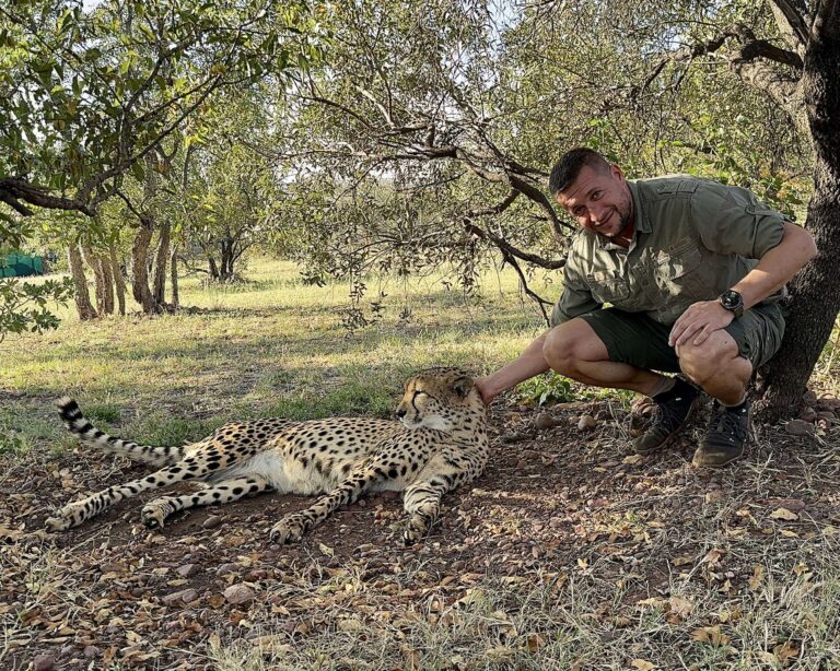 JAR, Zambia, Zimbabwe, Botswana