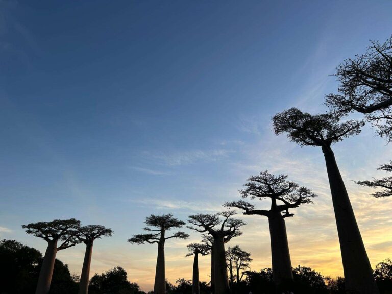 Madagaskar a exotický ostrov Nosy Boraha